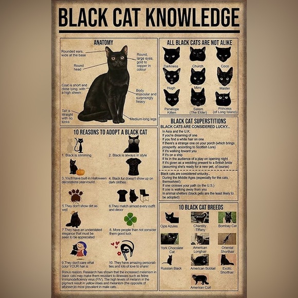 $2 WITCH CAT PIN/BROOCH. ENAMEL/METAL. NEW. $2 WITH ANY $10 ORDER OR MORE - Picture 13 of 16